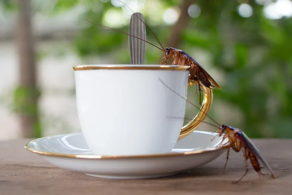 Unveiling the Creepy Truth About Your Morning Coffee