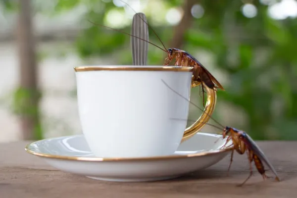 Unveiling the Creepy Truth About Your Morning Coffee